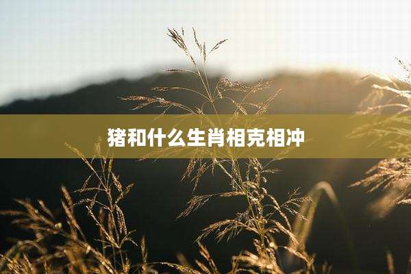 猪和什么生肖相克相冲