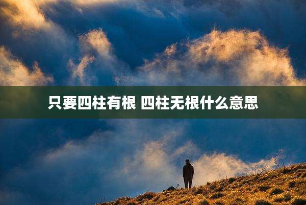 只要四柱有根 四柱无根什么意思
