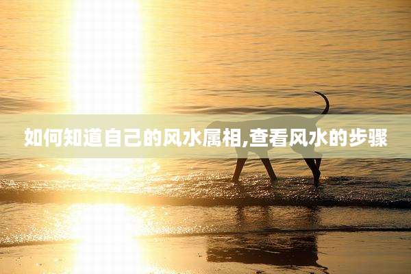 如何知道自己的风水属相,查看风水的步骤