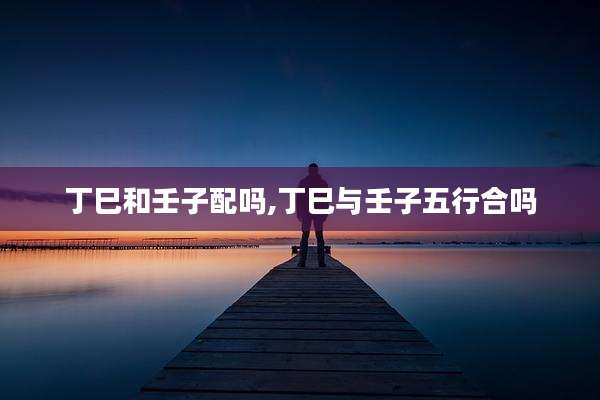 丁巳和壬子配吗,丁巳与壬子五行合吗