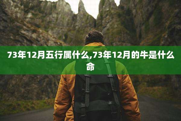 73年12月五行属什么,73年12月的牛是什么命