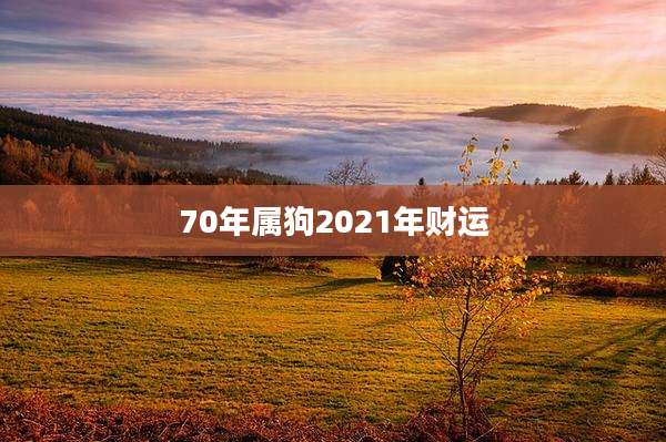 70年属狗2021年财运