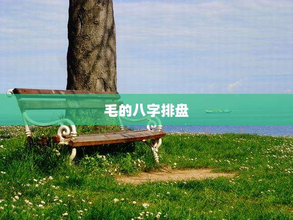 毛的八字排盘