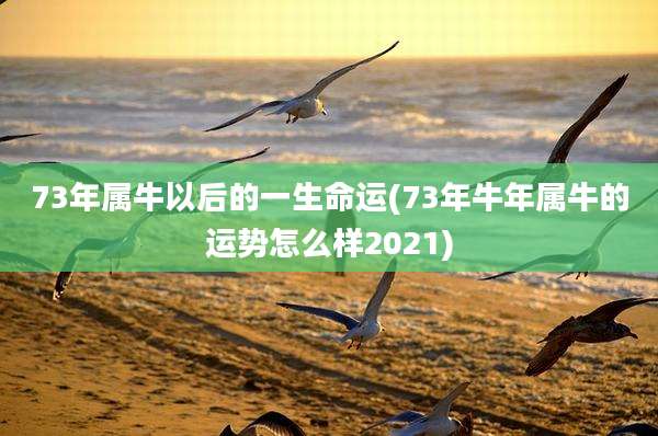 73年属牛以后的一生命运(73年牛年属牛的运势怎么样2021)
