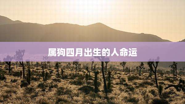 属狗四月出生的人命运