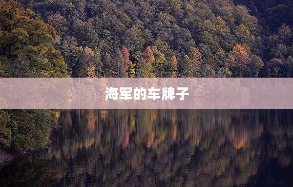 海军的车牌子