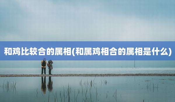 和鸡比较合的属相(和属鸡相合的属相是什么)