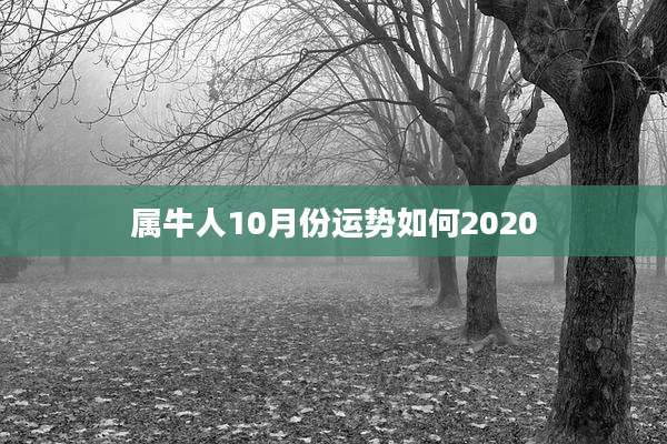 属牛人10月份运势如何2020