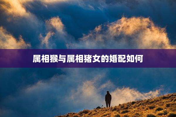 属相猴与属相猪女的婚配如何