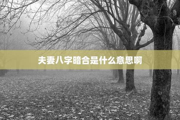 夫妻八字暗合是什么意思啊