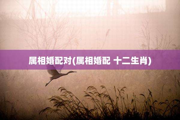 属相婚配对(属相婚配 十二生肖)