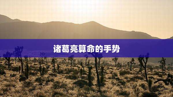 诸葛亮算命的手势