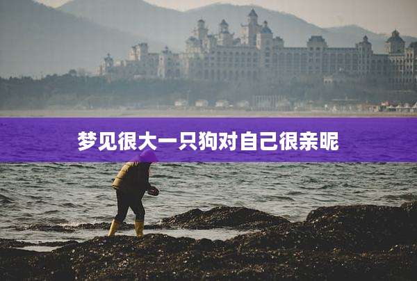 梦见很大一只狗对自己很亲昵