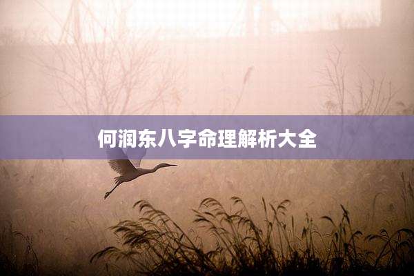 何润东八字命理解析大全