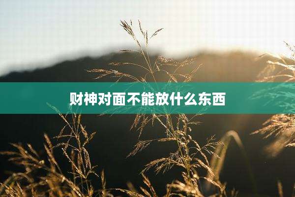 财神对面不能放什么东西