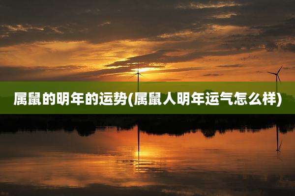 属鼠的明年的运势(属鼠人明年运气怎么样)