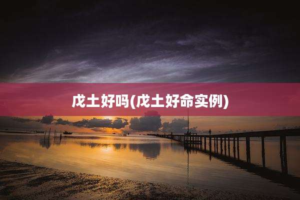 戊土好吗(戊土好命实例)