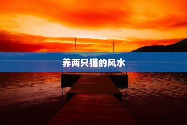 养两只猫的风水