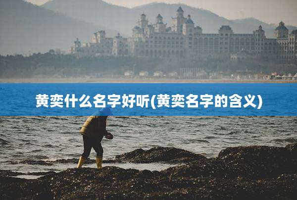 黄奕什么名字好听(黄奕名字的含义)