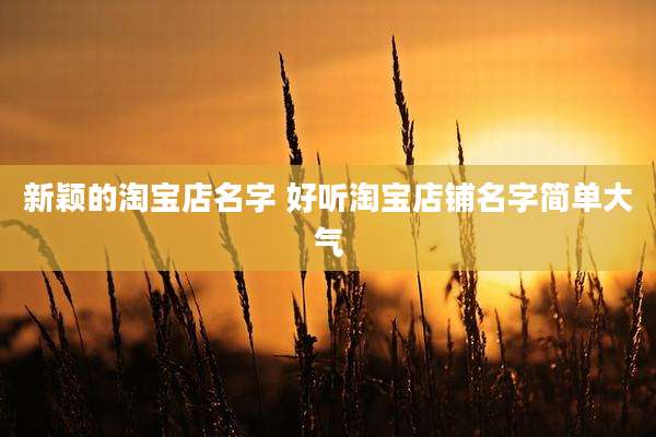 新颖的淘宝店名字 好听淘宝店铺名字简单大气
