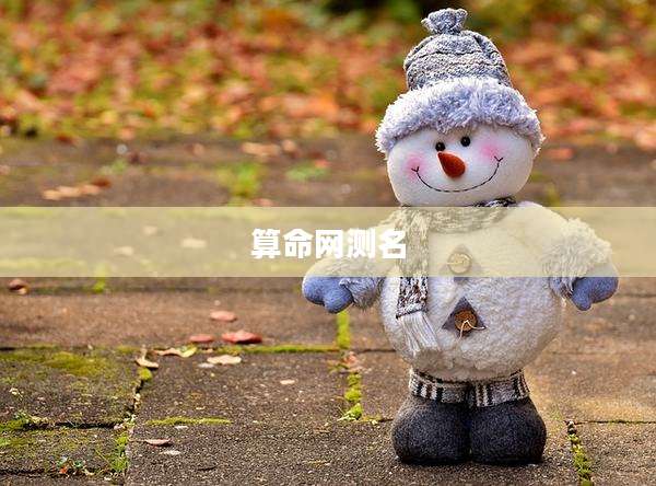 算命网测名