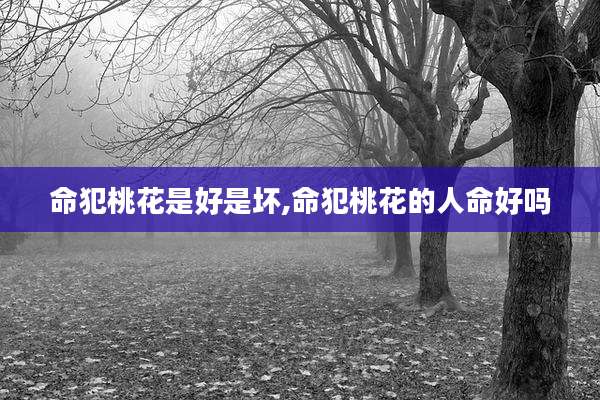 命犯桃花是好是坏,命犯桃花的人命好吗