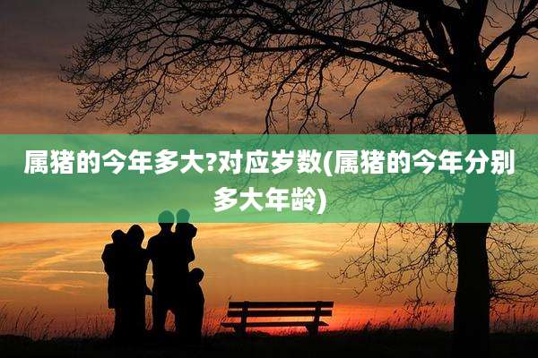 属猪的今年多大?对应岁数(属猪的今年分别多大年龄)