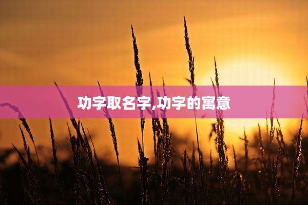 功字取名字,功字的寓意