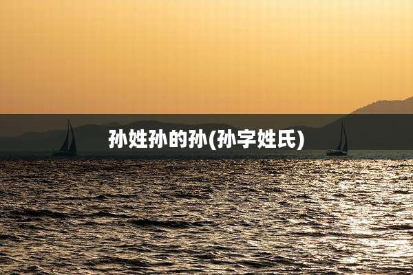 孙姓孙的孙(孙字姓氏)