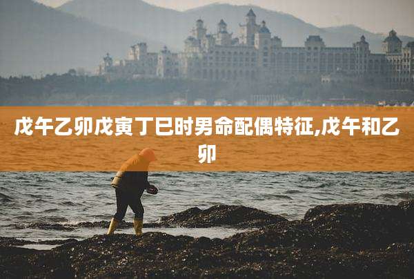戊午乙卯戊寅丁巳时男命配偶特征,戊午和乙卯