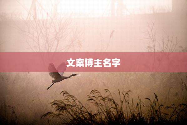 文案博主名字
