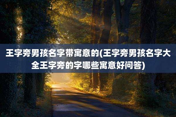 王字旁男孩名字带寓意的(王字旁男孩名字大全王字旁的字哪些寓意好问答)