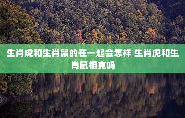生肖虎和生肖鼠的在一起会怎样 生肖虎和生肖鼠相克吗