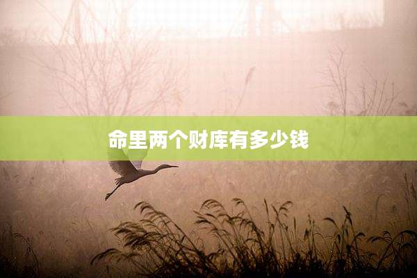 命里两个财库有多少钱