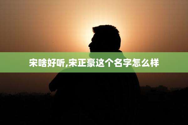 宋啥好听,宋正豪这个名字怎么样