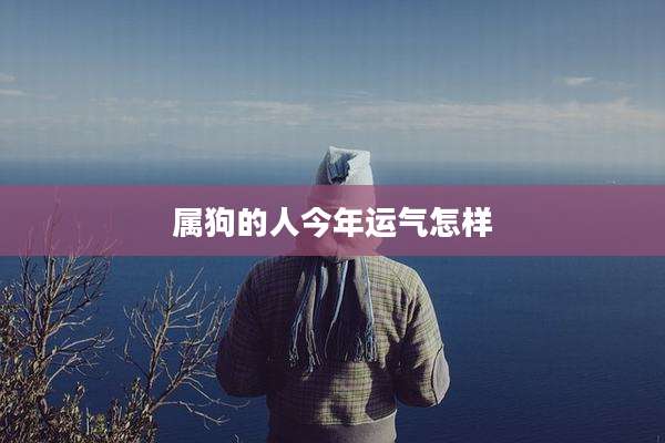 属狗的人今年运气怎样
