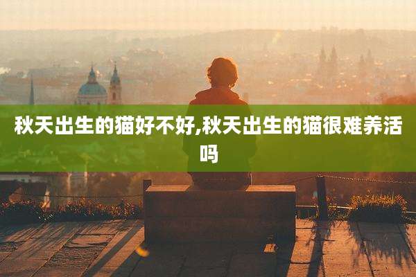 秋天出生的猫好不好,秋天出生的猫很难养活吗