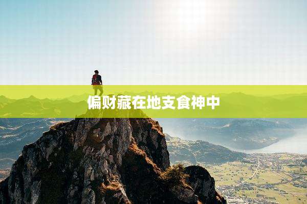 偏财藏在地支食神中