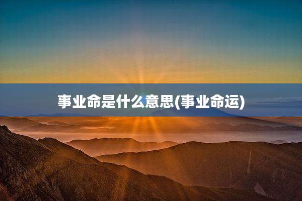 事业命是什么意思(事业命运)