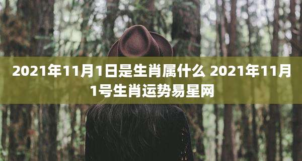 2021年11月1日是生肖属什么 2021年11月1号生肖运势易星网