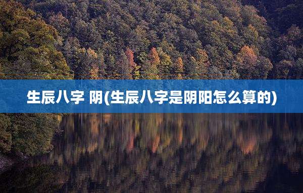 生辰八字 阴(生辰八字是阴阳怎么算的)