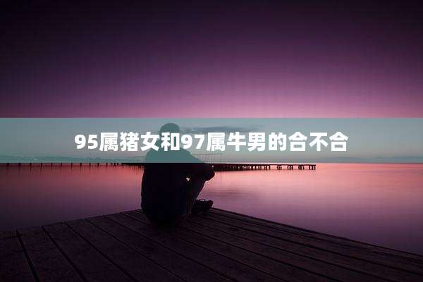 95属猪女和97属牛男的合不合