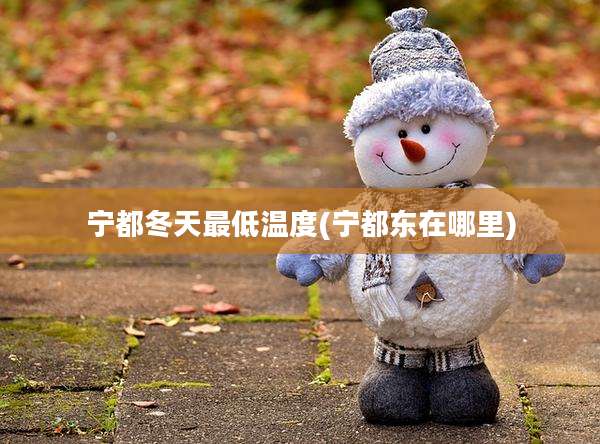 宁都冬天最低温度(宁都东在哪里)