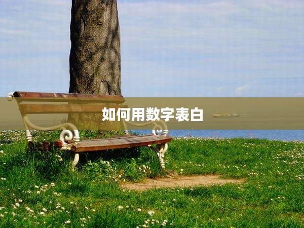 如何用数字表白