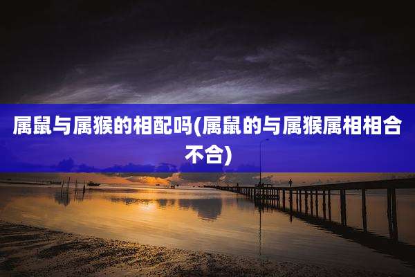 属鼠与属猴的相配吗(属鼠的与属猴属相相合不合)
