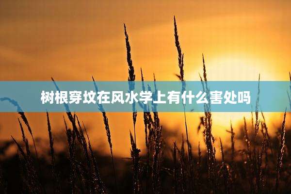 树根穿坟在风水学上有什么害处吗