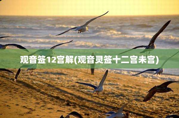 观音签12宫解(观音灵签十二宫未宫)