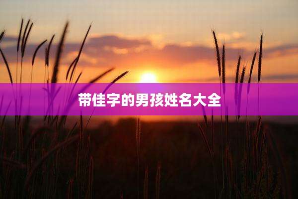 带佳字的男孩姓名大全