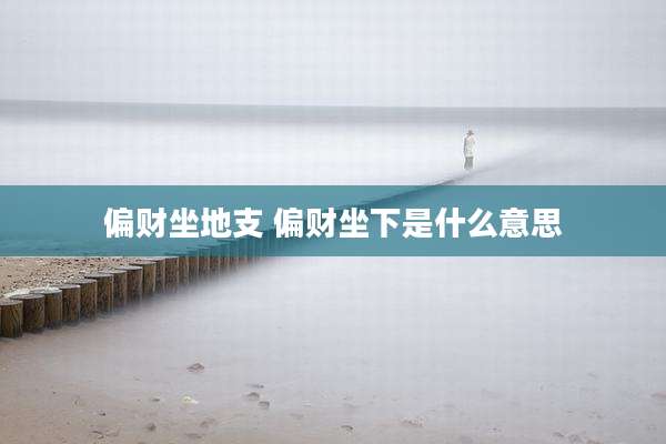 偏财坐地支 偏财坐下是什么意思