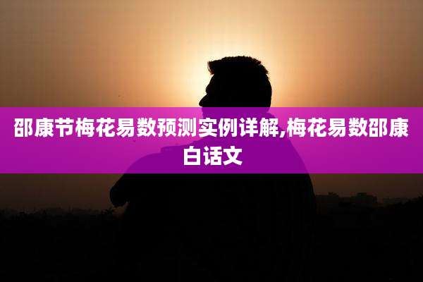 邵康节梅花易数预测实例详解,梅花易数邵康白话文